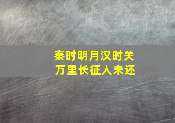 秦时明月汉时关 万里长征人未还